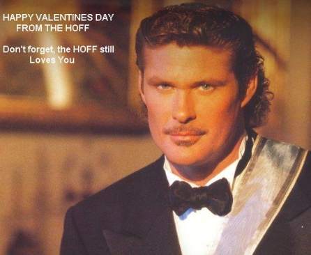 hoffy_valentines_day