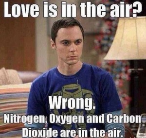 Sheldon Funny Valentine's Day Meme